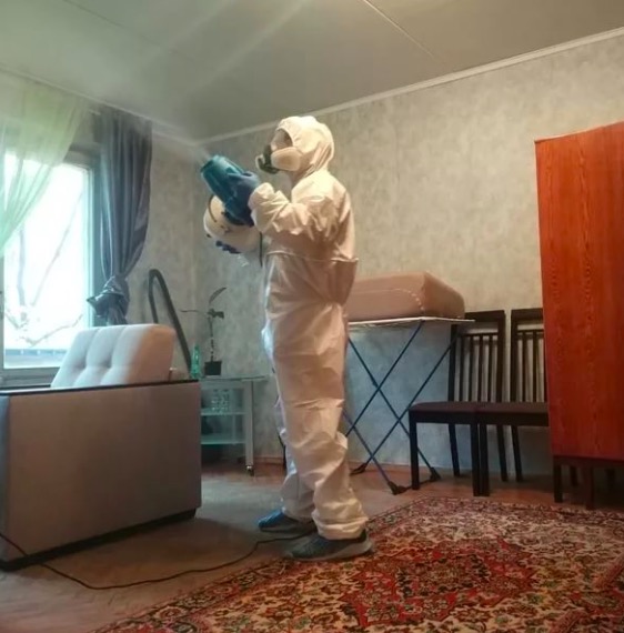 дезинсекция квартиры в Лебяжьем